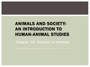 Domestic Violence - Animals and Society Institute