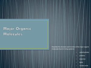 Major Organic Molecules