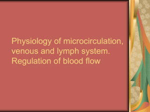 7. Physiology of microcirculation, venous and lymph system