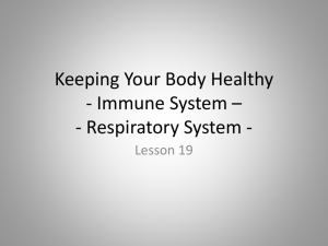 Keeping Your Body Healthy - Immune System -