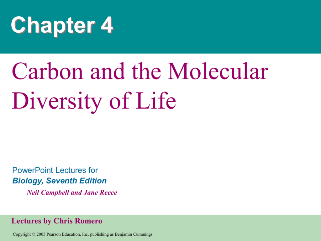 Chapter 4: carbon and the molecular diversity of life quizlet image