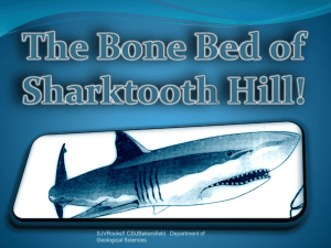 Presentation Sharktooth Hill Subduction