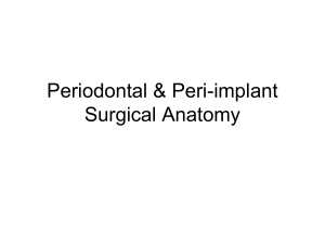 Periodontal & Peri-implant Surgical