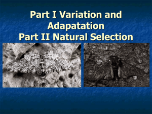 Variation and Natural Selection