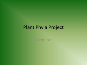 1321461477plant phyla project