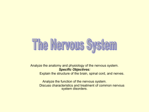 Neurological Systemppt