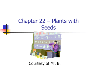 Plants with Seeds