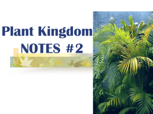 PLANT NOTES #2