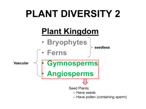 BIO120 PLANT LAB 2--post