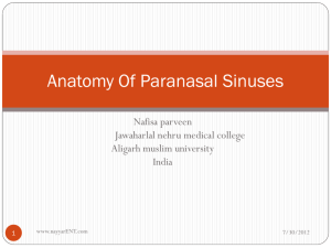 Anatomy of paranasal sinuses