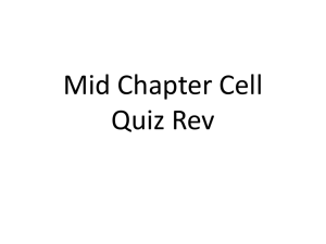 Chapter 4 Quiz Rev