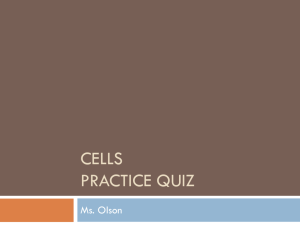 Cell structure and Function Practice Quiz
