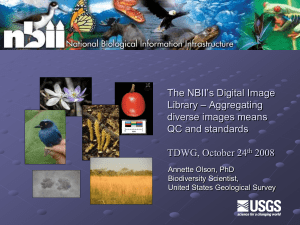 The NBII's Digital Image Library - workshop on image sharing