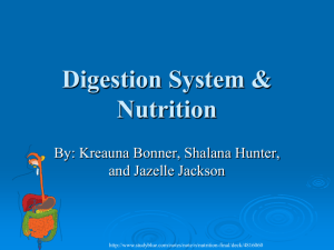 Digestion System & Nutrition