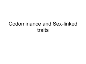 Codominance and Sex