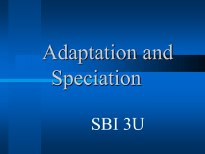 Adaptation and Speciation