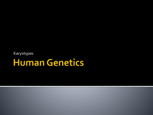 HumanGenetics