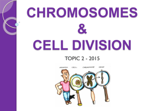Chromosomes and Cell Division