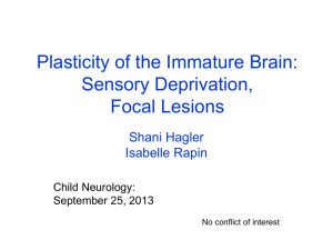 Plasticity of the Immature Brain in Response to Sensory Deprivation