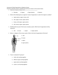 Assessment 6 Body Organization to Digestive System Directions