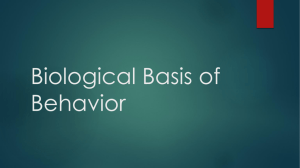 Biological Basis of Behavior