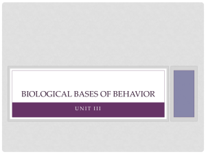 Biological Bases of Behavior PowerPoint Notes