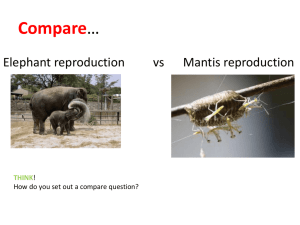 1- Reproductive strategies