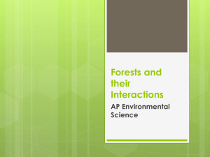 Forests and their Interactions