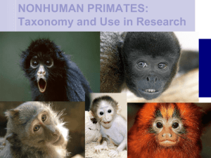 NONHUMAN PRIMATES: Introduction and Taxonomy