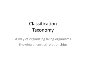classification notes handout