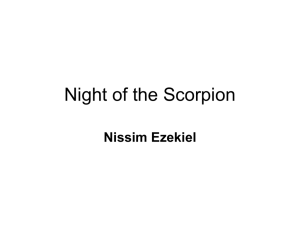 Night of the Scorpion