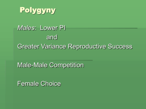 Polygyny, Monogamy and Polyandry