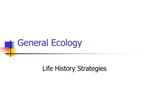 Life History Strategies