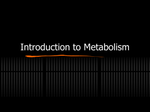 Metabolism: Introduction