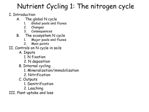 N Cycle