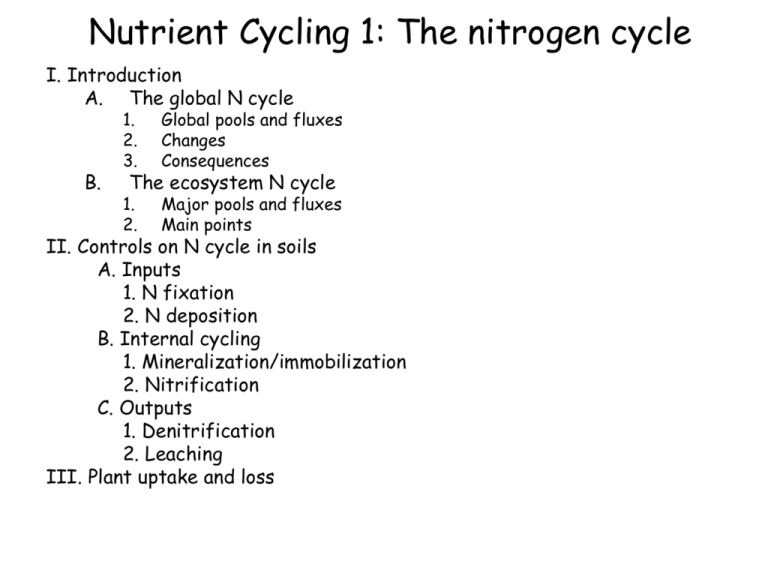 n-cycle