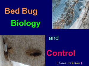 Bed Bugs, A Growing Problem - Armed Forces Pest Management