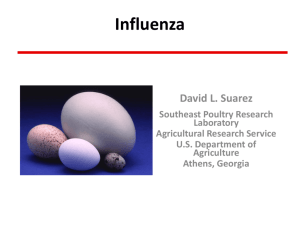 Influenza - Athens Academy