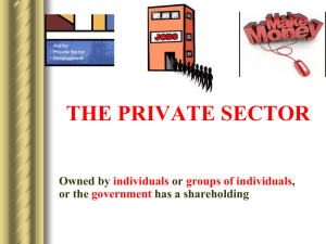 THE PUBLIC SECTOR