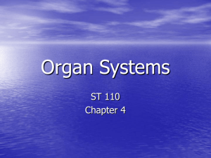 CH 4 Organ Systems