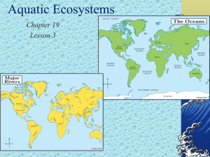 Aqua c Ecosystems