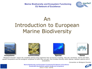 An Introduction to Marine Biodiversity