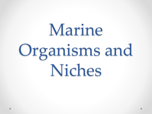 Freshwater and Marine Organisms and Niches