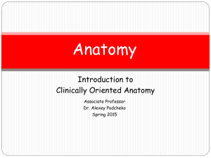 Introduction to Clinical Anatomy