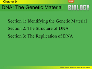 DNA Replication Enzymes