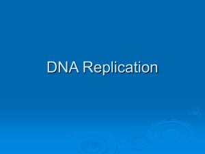 DNA - Phillips Scientific Methods