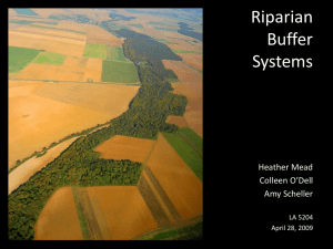 Riparian Buffer Systems