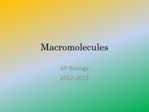Macromolecules - Biggs' Biology