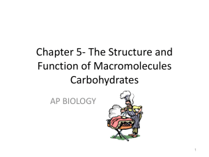 Chapter 5 - nhsprocaccinobiology