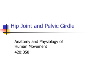 Anatomy and Physiology of Human Movement